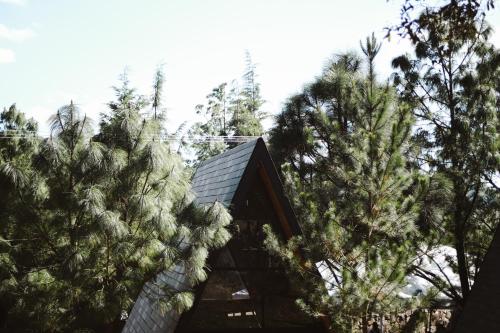 馬薩米特拉鎮的住宿－HOTEL SIETE PUNTAS，前方有树木的房子