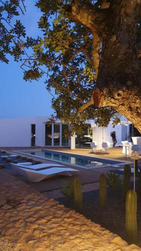 a building with a swimming pool next to a tree at Boutique Hotel - Casa Esteval in Rocha Amarela