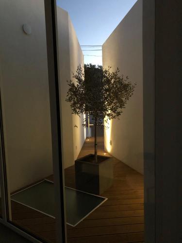 a room with a glass window with a plant at Boutique Hotel - Casa Esteval in Rocha Amarela