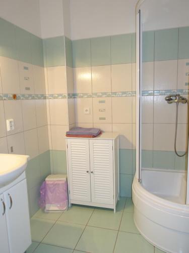 bagno con doccia, lavandino e servizi igienici di Apartmán na Zlaté stezce a Kašperské Hory
