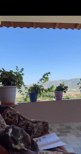 ein Fenster mit Topfpflanzen und ein Sofa mit Aussicht in der Unterkunft Villa Endrit in Berat