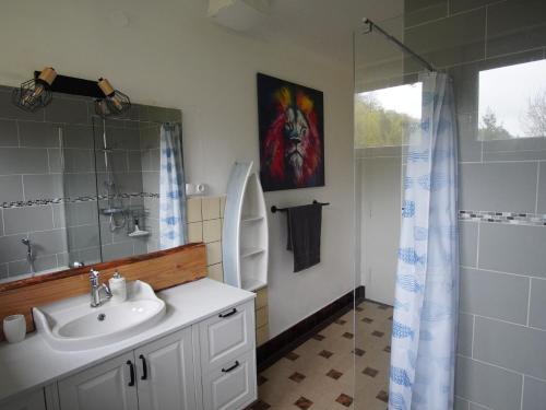 a bathroom with a sink and a shower at Familienparadies Bousseviller in Bousseviller