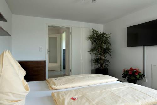 a bedroom with a bed and a flat screen tv at Wohnung-mit-Panoramablick in Buchenberg
