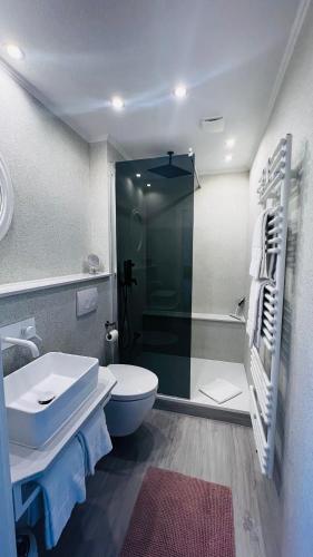 a bathroom with a shower and a toilet and a sink at Maison Lily Apartment 5 in Bad Lauterberg