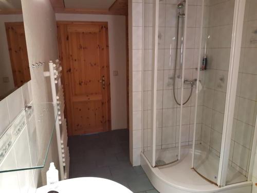 ein Badezimmer mit Dusche, Toilette und Waschbecken in der Unterkunft Ferienhaus Harz in Allrode