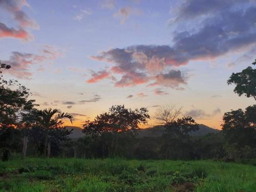 Paysage naturel près de l'appartement