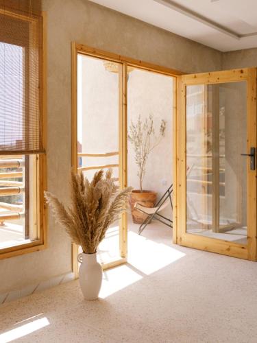 a vase with a plant in a room with a window at Malibu Surf House in Tamraght Ouzdar