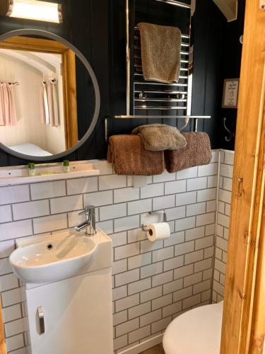 uma casa de banho com um lavatório, um WC e um espelho. em Archie the shepherd’s hut em Penruddock