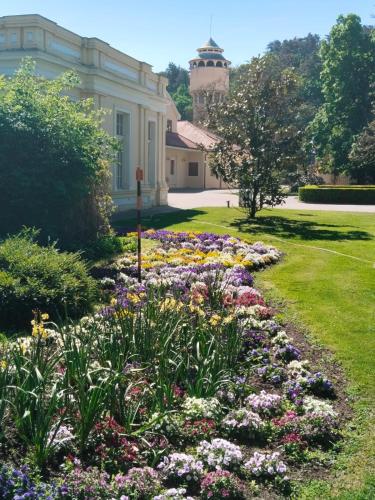 a garden of flowers in front of a house at Leier apartments in Piešťany