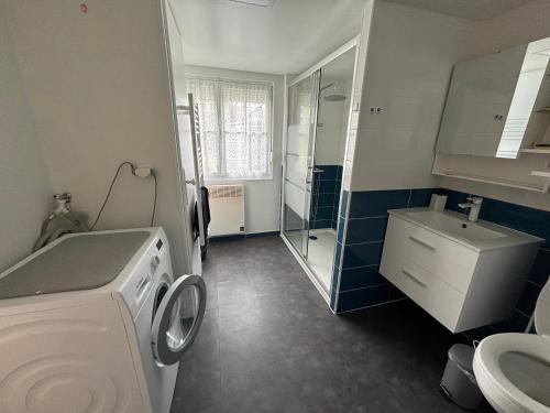 La salle de bains est pourvue d'un lave-linge et d'un lavabo. dans l'établissement La P'tite Camargue, au Crotoy