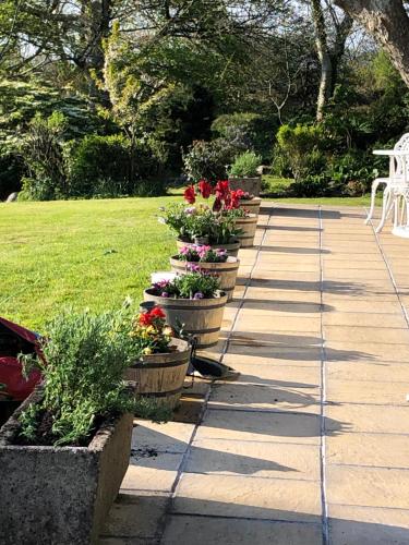 a row of potted plants on a walkway at The Old Farmhouse B&B in Dyffryn