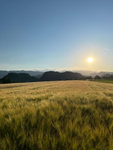 a field of grass with the sun in the background at Bubbly Apartment in Bled