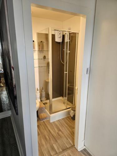 a bathroom with a shower and a toilet at Cozy and Small Studio Zone 2 near Maida vale 6 in London