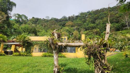 uma casa amarela com árvores em frente em San Felipe Lodge. Birding and Wellness em Cali