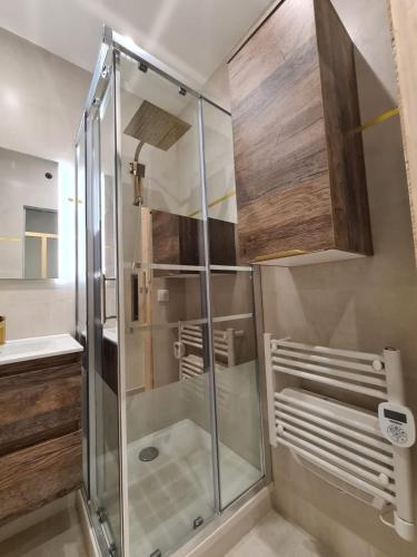 une douche avec une porte vitrée dans une salle de bain dans l'établissement Studio Balcony Sea View - 6th floor - FAME MARINA BAIE DES ANGES, à Villeneuve-Loubet