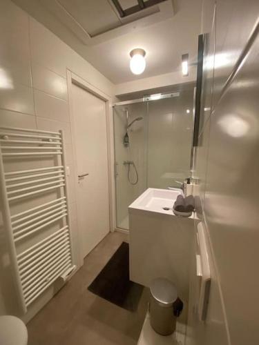 a white bathroom with a shower and a sink at T2 paisible en cœur de village in Viuz-en-Sallaz