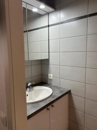 uma casa de banho com um lavatório e um espelho em Salutho em Sélestat