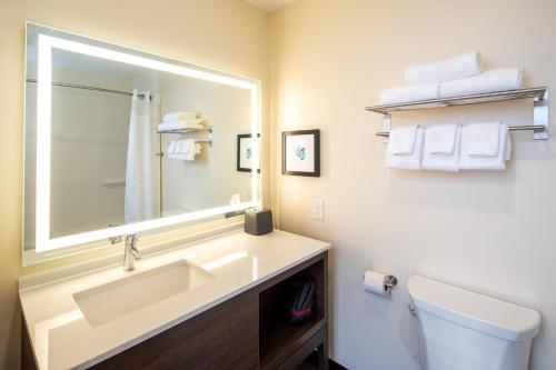Koupelna v ubytování Holiday Inn & Suites Detroit - Troy by IHG