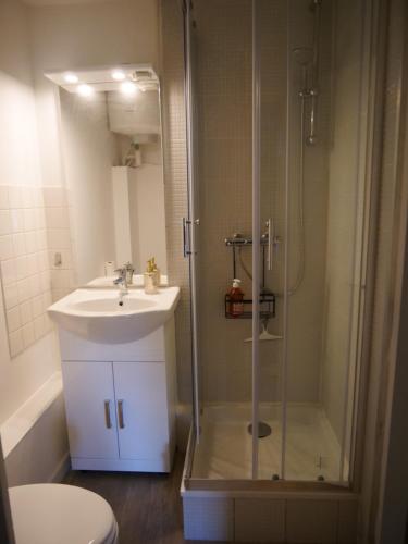 uma casa de banho com um chuveiro e um lavatório. em Joli cocon - Dijon centre ville em Dijon