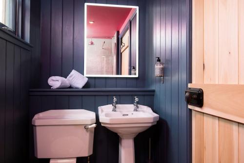 a bathroom with a sink and a toilet and a mirror at Grieve's Cottage at Papple Steading in East Linton