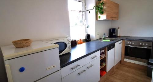 Η κουζίνα ή μικρή κουζίνα στο Ferienwohnung Schnegge-Eck direkt am Klingbachrad- und Spazierweg