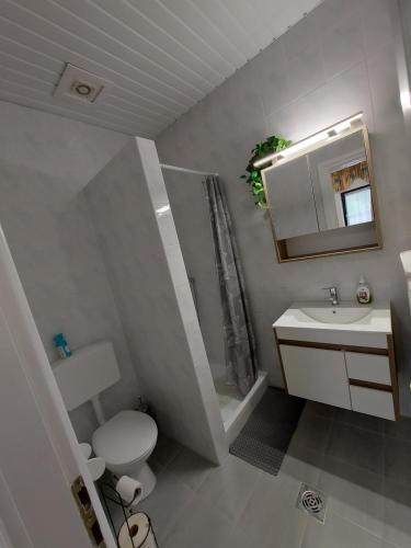 La salle de bains est pourvue de toilettes, d'un lavabo et d'un miroir. dans l'établissement István Apartmanok, à Keszthely