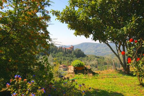 a view of a mountain from a field with flowers at Poggiolino by PosarelliVillas in Chitignano