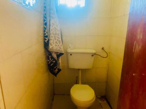 a small bathroom with a toilet and a shower curtain at Luxury studio apartment by Hope in Bushenyi
