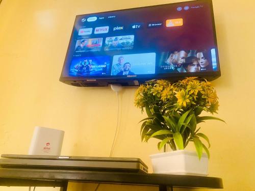 Ein TV hängt an einer Wand mit einer Topfpflanze in der Unterkunft Luxury studio apartment by Hope in Bushenyi