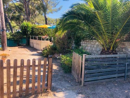 uma cerca de madeira com uma palmeira num quintal em Maisonnette à 200 m de la plage em La Seyne-sur-Mer