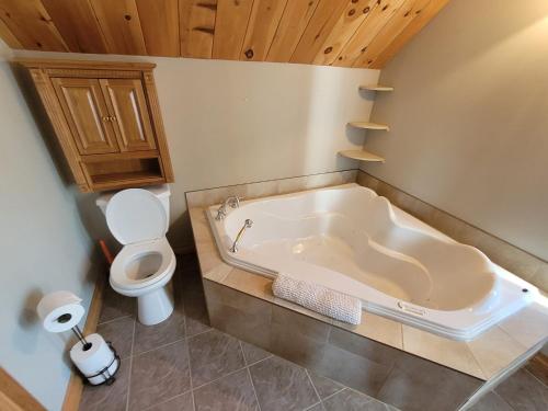 a bathroom with a bath tub and a toilet at chalet le Taz in Saint Come