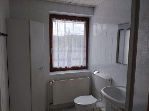 ein Bad mit einem WC, einem Waschbecken und einem Fenster in der Unterkunft Gästezimmer M. Schubert in Oberelbert