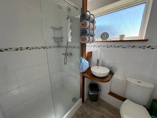 a bathroom with a shower and a toilet and a sink at Castle View in Freshwater