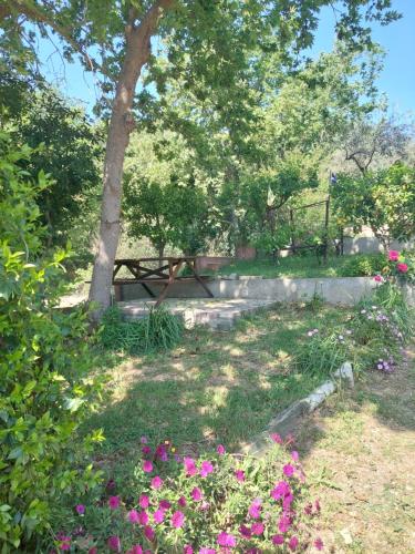 Κήπος έξω από το A Sun Shine Home