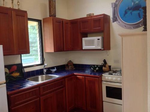 a kitchen with wooden cabinets and a sink and a microwave at Mermaid Manor Belize in White Hill