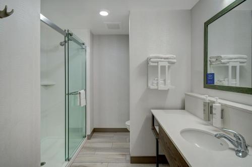 La salle de bains est pourvue d'un lavabo et d'une douche en verre. dans l'établissement Hampton Inn Queen Creek, AZ, à Queen Creek