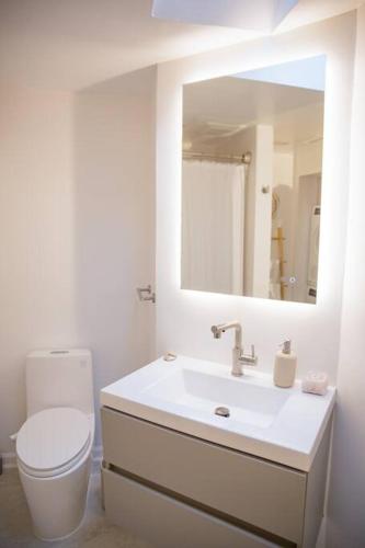 a bathroom with a sink and a toilet and a mirror at Entire rowhouse in Capitol Hill with free parking in Washington, D.C.