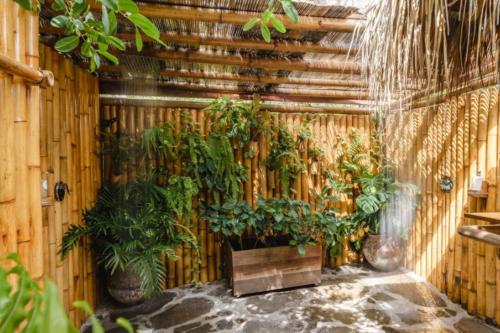 a room with a bunch of plants on a wooden wall at Beach bungalow Aruba in Savaneta