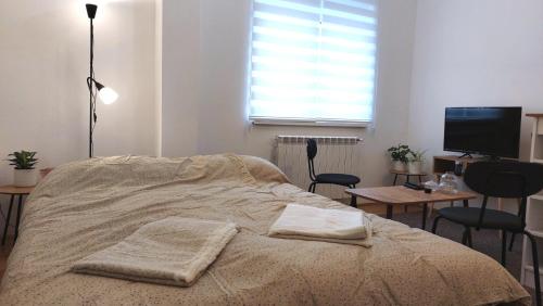 een slaapkamer met een bed, een bureau en een televisie bij Studi-apartman Kestenov stan in Vršac