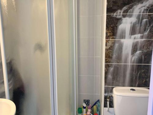 une salle de bain avec douche et toilettes dans l'établissement T1 confortable avec balcon et ascenseur à Balaruc-les-Bains - FR-1-553-181, à Balaruc-les-Bains