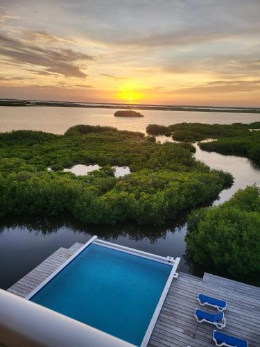 une piscine au milieu d'une rivière dans l'établissement Coconuts Caribe, à San Pedro