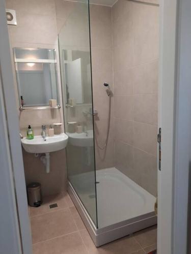 Koupelna v ubytování DAMEJ Apartment, Free Garage parking