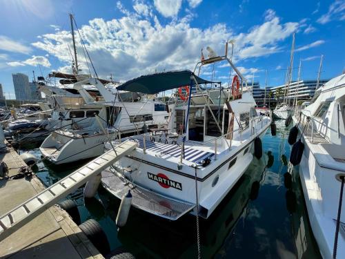 um grupo de barcos está ancorado numa doca em Barco amplio con 2 camarotes / Comfy Boat with 2 bedrooms - Barcelona em Barcelona