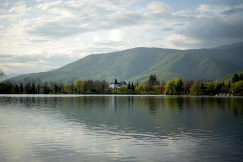 um grande lago com uma casa e montanhas ao fundo em Lopota Lake Resort & Spa em Napareuli