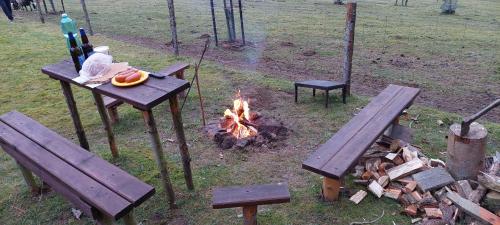 a picnic table and a fire with a table and benches at Chata na samotě, Šumava in Vrhaveč