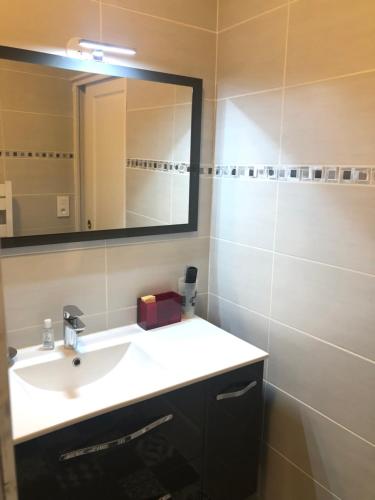 ein Bad mit einem Waschbecken und einem Spiegel in der Unterkunft La Maison du Bonheur in Saint-Herblain