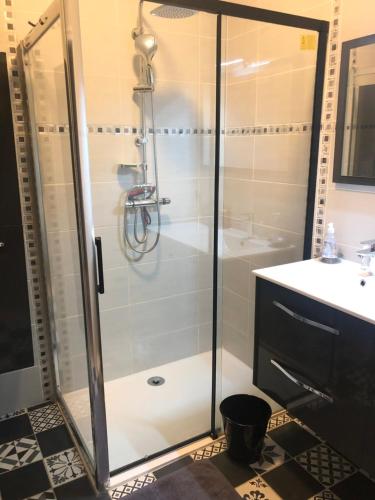 eine Dusche mit Glastür im Bad in der Unterkunft La Maison du Bonheur in Saint-Herblain