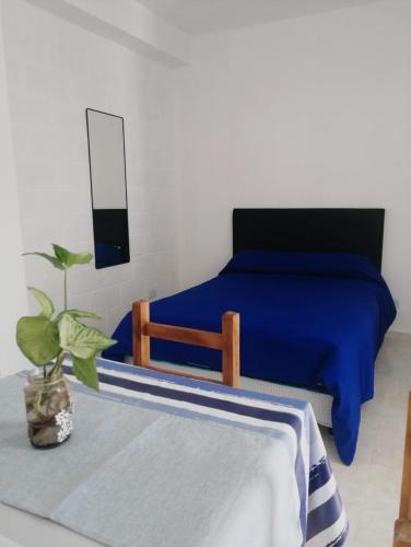 Un dormitorio con una cama azul y una maceta en Hostal Peregrino II en San Luis