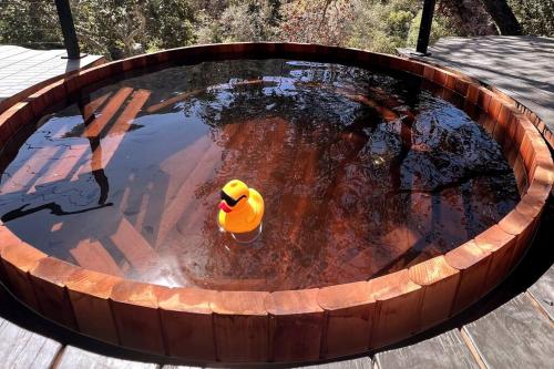a rubber duck floating in a pool of water at Paradise Ranch Inn- Infinite House Hot Tub,Sauna in Three Rivers