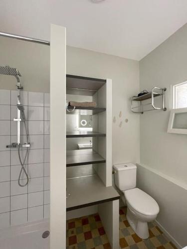 une salle de bain blanche avec toilettes et douche dans l'établissement Maison avec patio proche place des Carmes, à Avignon